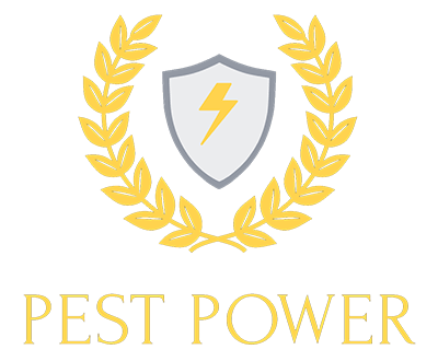 Experienced pest controller in Yorkshire, Derbyshire and Nottinghamshire